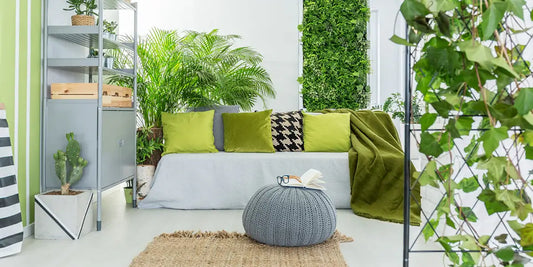 Some proper plants for purifying the air of your house