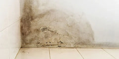The importance of Indoor Air Quality and the working principle