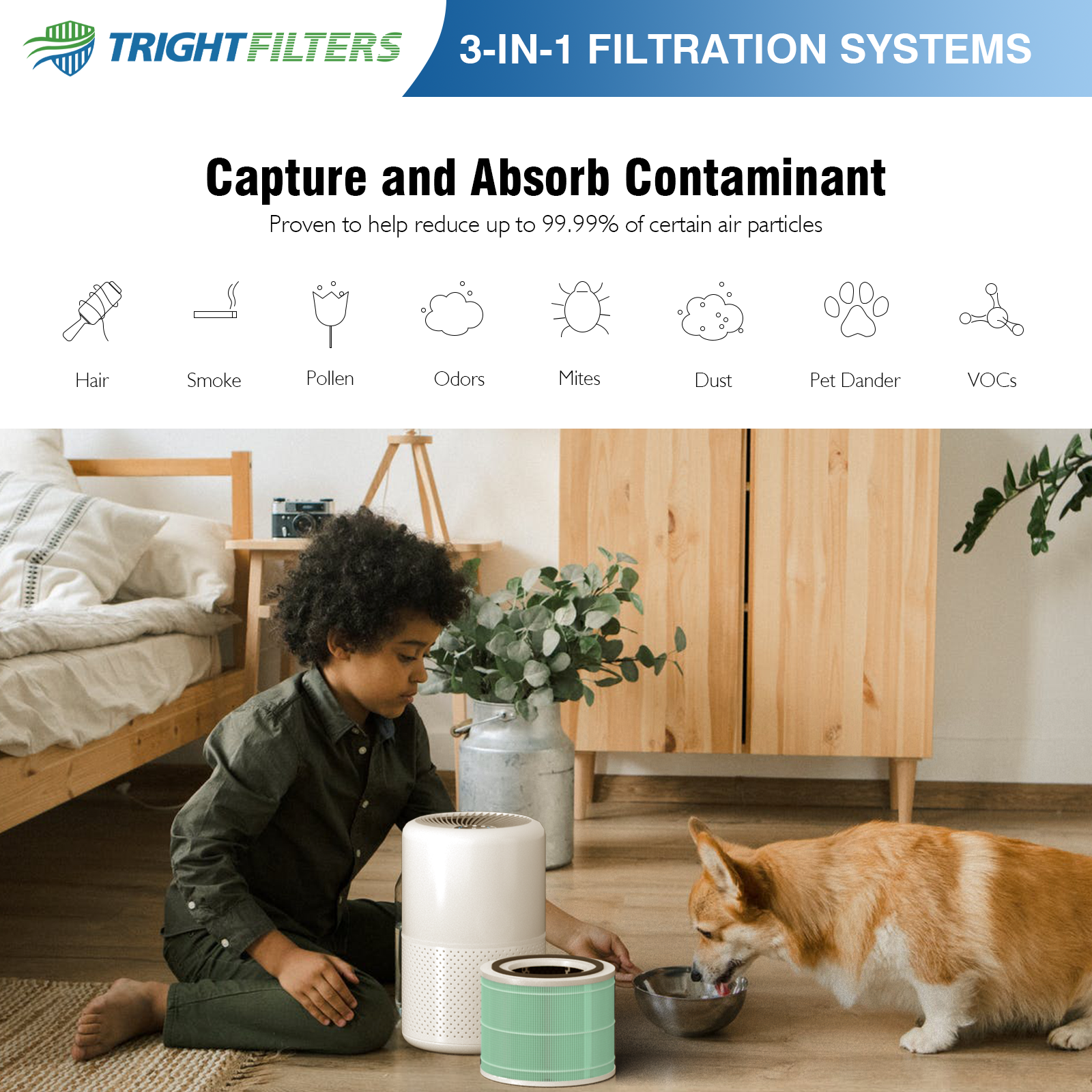 Levoit toxin absorber filter deals