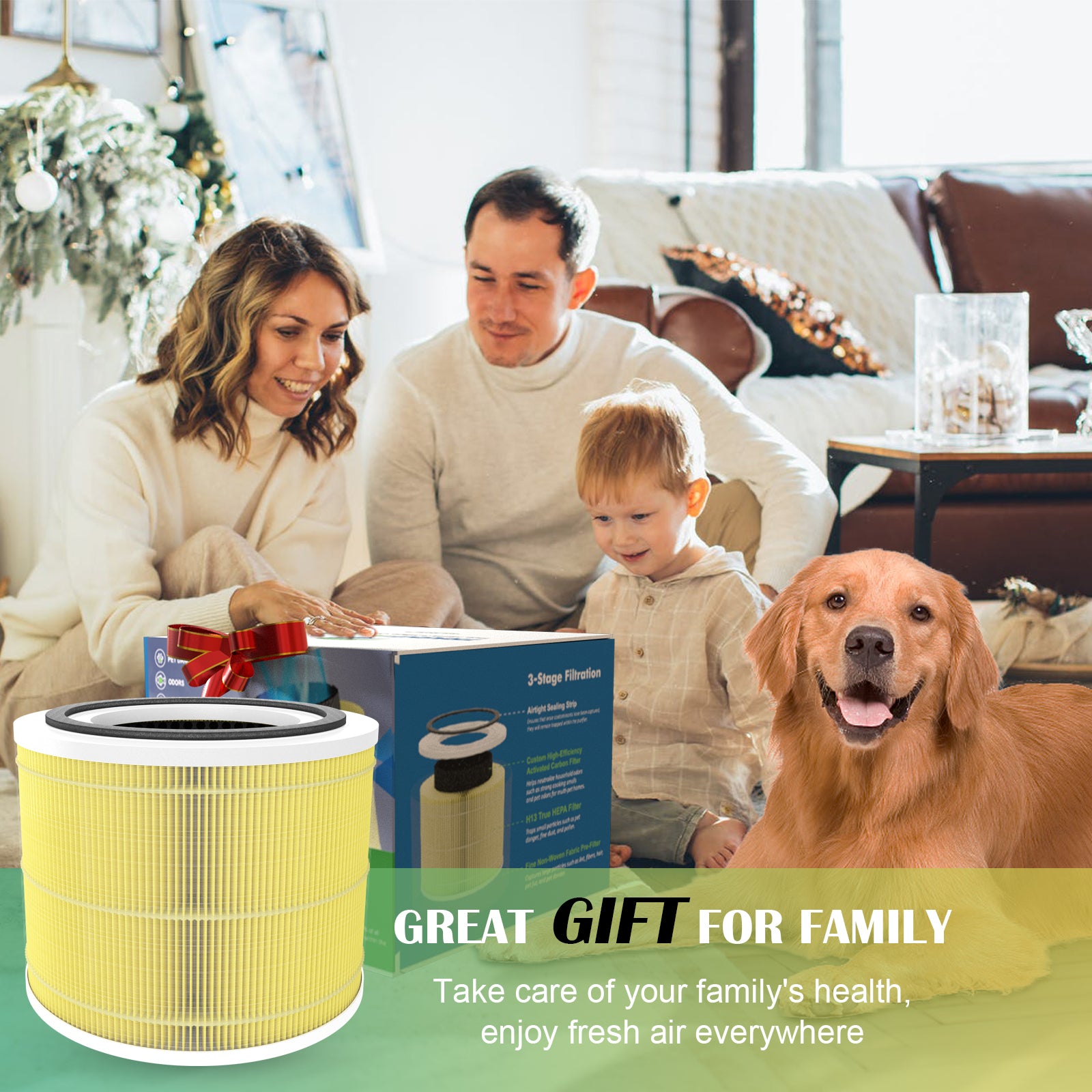 Levoit core 300 discount pet allergy filter